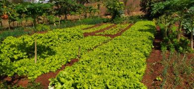 WhatsApp Image 2021-07-19 at 15.30.54.jpeg