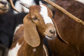 WhatsApp Image 2021-07-23 at 12.10.43.jpeg