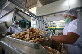 WhatsApp Image 2021-07-28 at 16.47.14 (2).jpeg