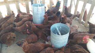 WhatsApp Image 2021-07-28 at 17.35.18.jpeg