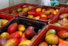 WhatsApp Image 2021-07-29 at 13.48.32 (1).jpeg