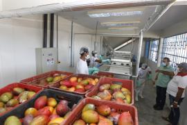 WhatsApp Image 2021-07-29 at 13.48.32 (5).jpeg