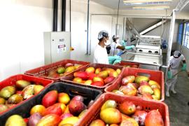 WhatsApp Image 2021-07-29 at 13.48.32.jpeg