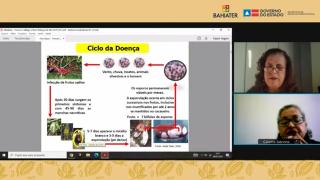 WhatsApp Image 2021-07-29 at 17.47.10.jpeg