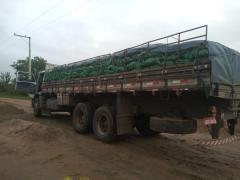 WhatsApp Image 2021-07-30 at 14.46.36.jpeg