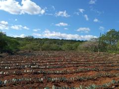 WhatsApp Image 2021-07-30 at 14.46.37 (1).jpeg