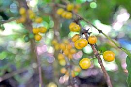 WhatsApp Image 2021-08-04 at 17.04.01 (10).jpeg