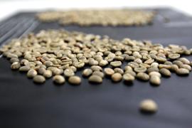 WhatsApp Image 2021-08-04 at 17.04.01 (11).jpeg