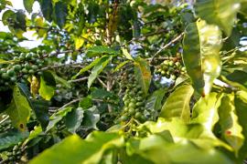 WhatsApp Image 2021-08-04 at 17.04.01 (12).jpeg