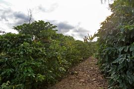 WhatsApp Image 2021-08-04 at 17.04.01 (6).jpeg