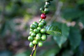 WhatsApp Image 2021-08-04 at 17.04.01 (9).jpeg