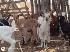 WhatsApp Image 2021-08-13 at 15.19.13.jpeg