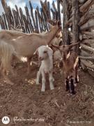 WhatsApp Image 2021-08-13 at 15.19.15.jpeg