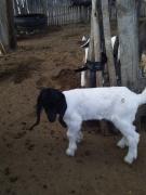 WhatsApp Image 2021-08-13 at 15.19.37.jpeg