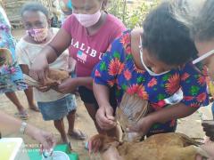 WhatsApp Image 2021-08-14 at 10.18.24 (2).jpeg