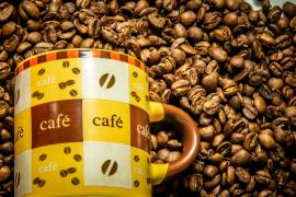 WhatsApp Image 2021-08-17 at 16.58.45 (1).jpeg