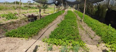 WhatsApp Image 2021-08-18 at 17.02.59.jpeg