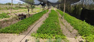 WhatsApp Image 2021-08-18 at 17.03.00.jpeg