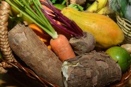 WhatsApp Image 2021-08-27 at 12.55.20.jpeg