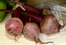 WhatsApp Image 2021-08-27 at 12.55.21 (3).jpeg