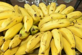 WhatsApp Image 2021-08-27 at 12.55.22.jpeg