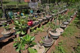 WhatsApp Image 2021-09-01 at 16.07.31 (2).jpeg