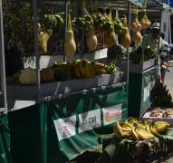 WhatsApp Image 2021-09-10 at 10.19.59.jpeg