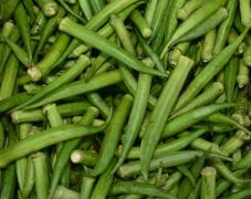 WhatsApp Image 2021-09-10 at 10.20.00.jpeg