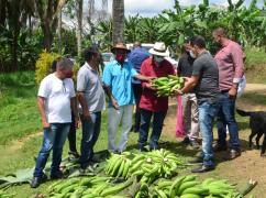 WhatsApp Image 2021-09-10 at 14.52.56.jpeg