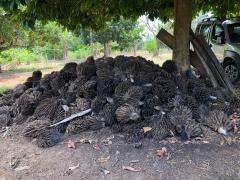 WhatsApp Image 2021-09-14 at 1.15.21 PM.jpeg