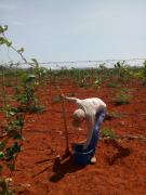 WhatsApp Image 2021-09-14 at 18.05.58 (1).jpeg