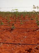 WhatsApp Image 2021-09-14 at 18.06.02 (1).jpeg