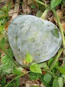 WhatsApp Image 2021-09-15 at 4.43.38 PM.jpeg