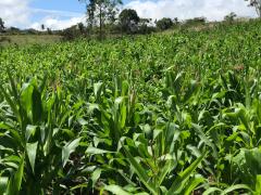 WhatsApp Image 2021-09-15 at 4.44.51 PM.jpeg