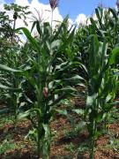 WhatsApp Image 2021-09-15 at 4.47.19 PM.jpeg