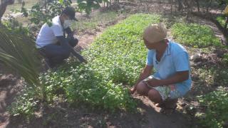 WhatsApp Image 2021-09-20 at 15.37.16.jpeg