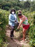 WhatsApp Image 2021-09-20 at 15.45.51.jpeg