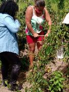 WhatsApp Image 2021-09-20 at 15.45.52.jpeg