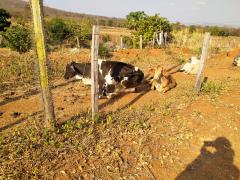 WhatsApp Image 2021-09-24 at 17.52.03 (1).jpeg