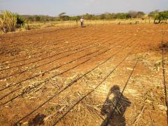 WhatsApp Image 2021-09-24 at 17.52.05.jpeg