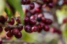 WhatsApp Image 2021-05-24 at 18.06.25 (1).jpeg