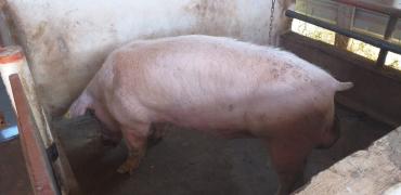 WhatsApp Image 2021-10-05 at 15.20.20.jpeg