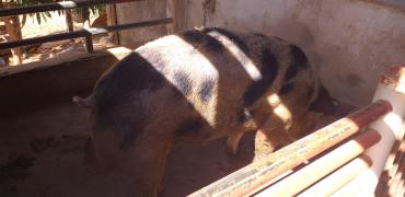 WhatsApp Image 2021-10-05 at 15.20.21.jpeg