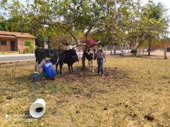 WhatsApp Image 2021-10-07 at 22.47.32.jpeg