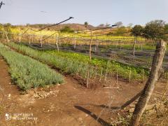 WhatsApp Image 2021-10-07 at 22.47.36.jpeg