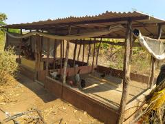 WhatsApp Image 2021-10-07 at 22.47.37.jpeg