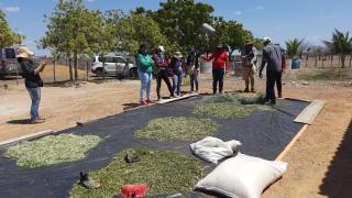 WhatsApp Image 2021-10-13 at 10.03.18.jpeg