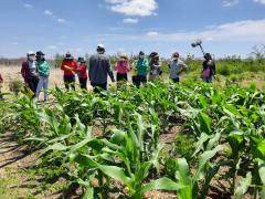 WhatsApp Image 2021-10-13 at 11.01.42.jpeg