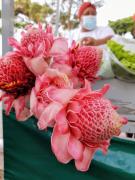 WhatsApp Image 2021-10-14 at 17.46.01.jpeg