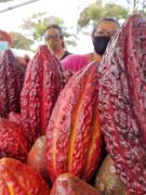 WhatsApp Image 2021-10-14 at 17.46.17.jpeg